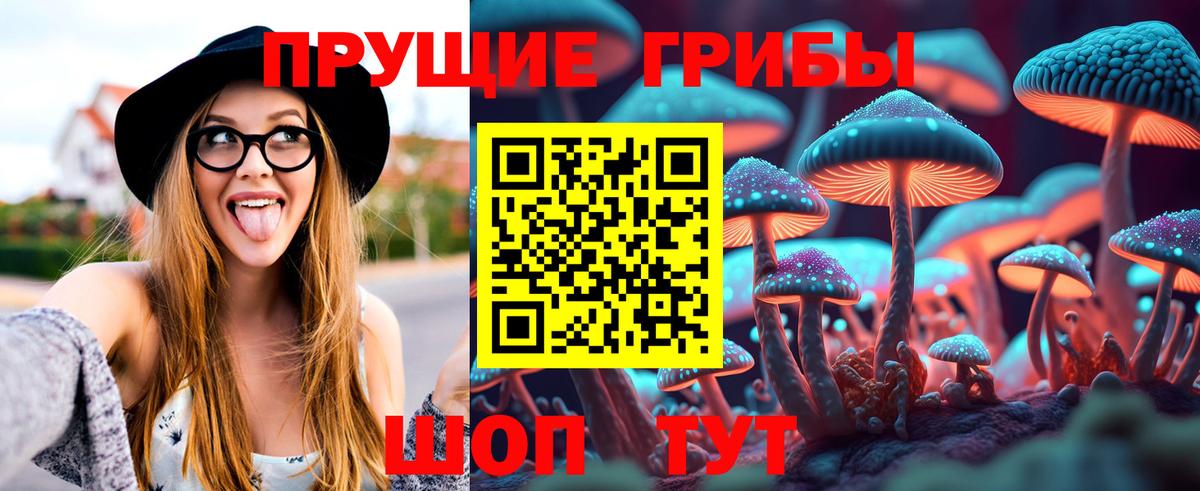 Псилоцибиновые грибы Psilocybe Канаш
