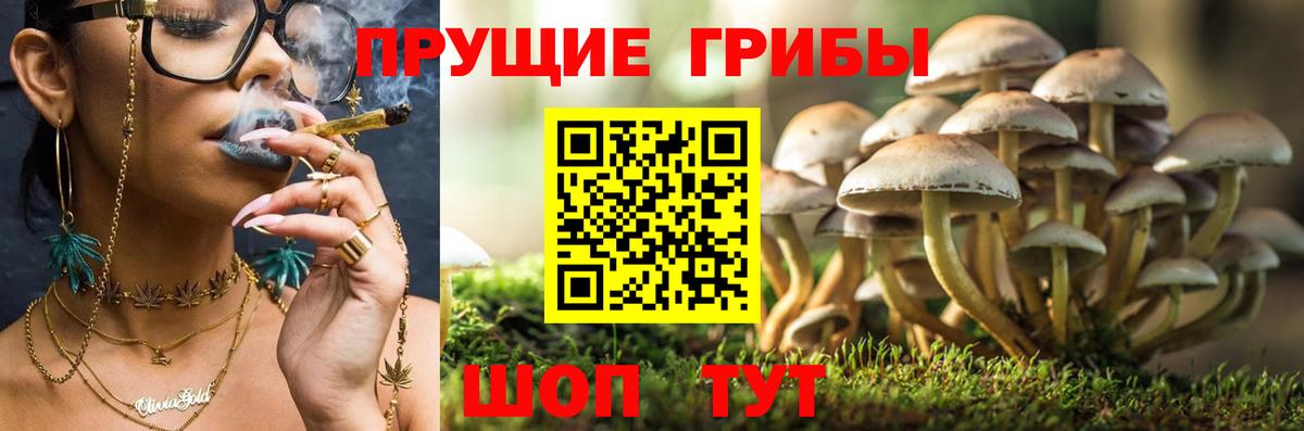 ТГК  ГАШИШ  Купить наркоту  Вход с VPN  Канаш  Метадон  A-PVP СОЛЬ кристаллы  Канабис  МДМА  МЕФ  